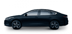 BYD King